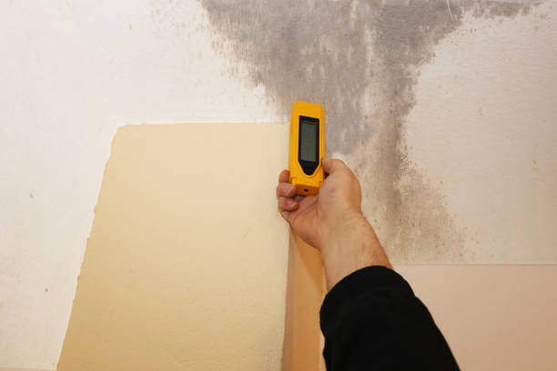 Mold Documentation for Insurance Claims in Smithville, NJ