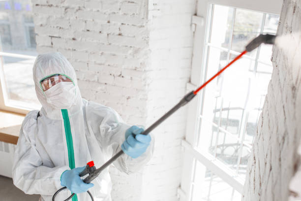 Best Biohazard Mold Removal  in Smithville, NJ