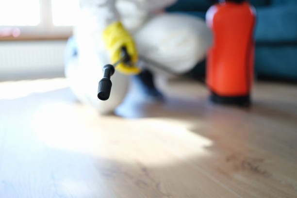 Best Asbestos and Lead Testing During Mold Inspection  in Smithville, NJ