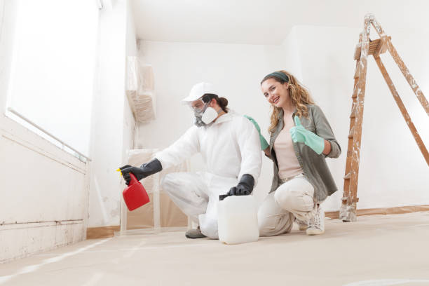 Best Water Damage & Mold Remediation  in Smithville, NJ