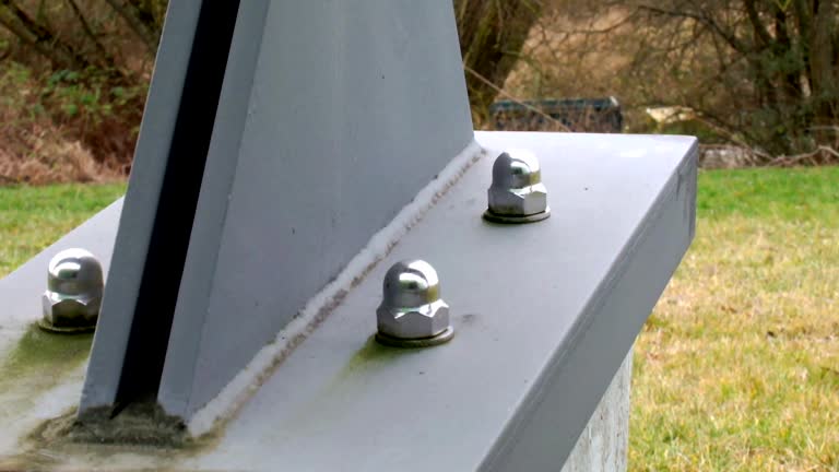 Best Mold Documentation for Insurance Claims  in Smithville, NJ