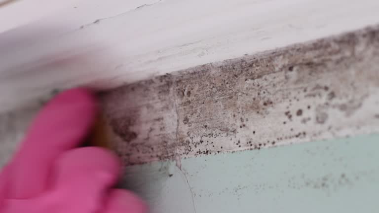 Best Indoor Air Quality Assessment  in Smithville, NJ